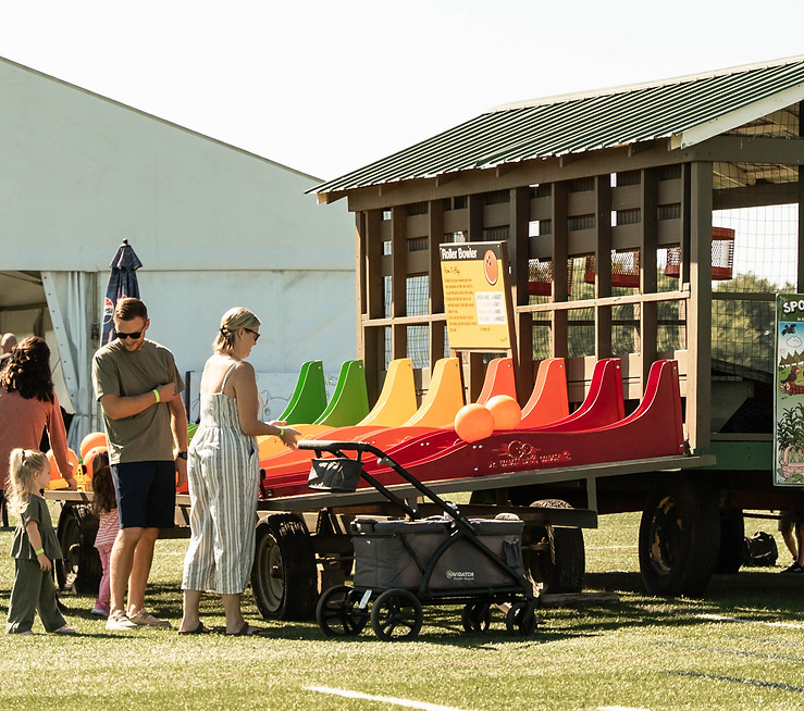 people playing roller bowlers.jpg