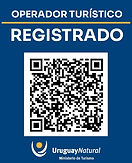 agencia de viajes - QR Ibiza viajes.jpeg