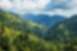 blue-mountains-jamaica-shutterstock_789935377_cc7e49ab64 (1).jpeg