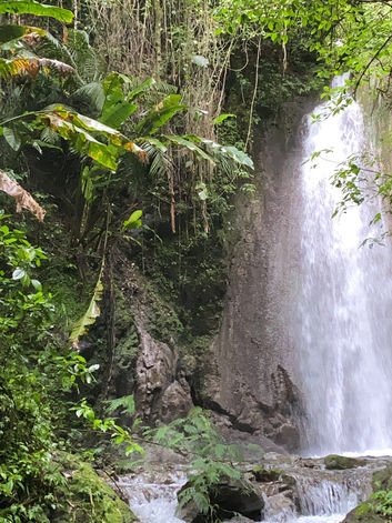 water fall Blue Mountain jamaica, Tour with Streets of Jamaica