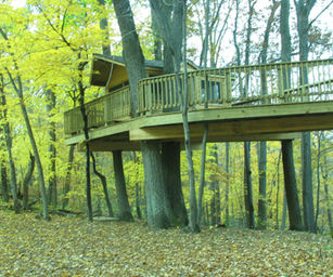 tree-house_4794777834_o.jpg