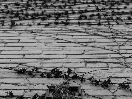 Day 70 of a Photo a Day: Home