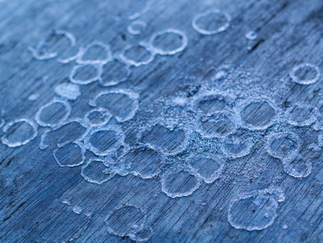 Day 125 of a Photo a Day: Binds