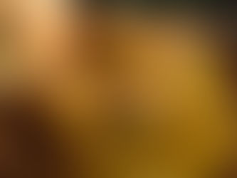 Day 33 of a Photo a Day: Challah Bread