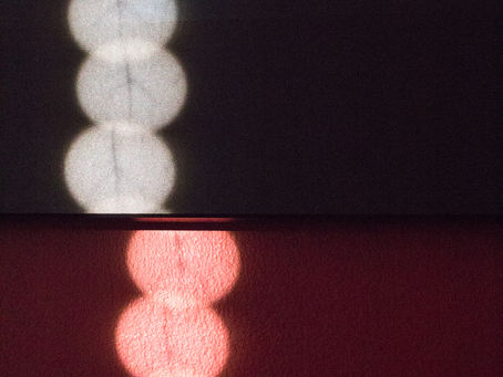 Day 131 of a Photo a Day: Light/Nature