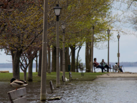 Day 184 of a Photo a Day: Mother's Day and the Flood