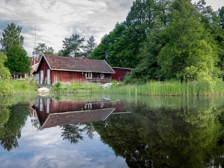 Save Your Lake and Keep Things Natural