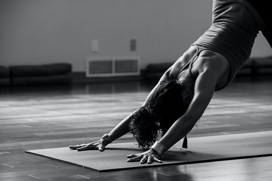 yoga down dog.jpeg