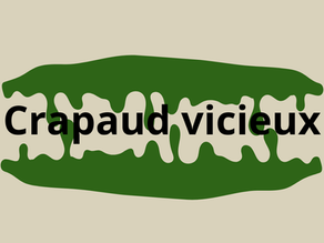 crapaud vicieux