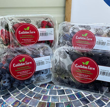 Castleton Farm Berries at Kepplestone Farm