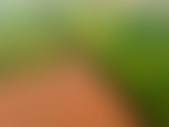 Da classificação fundiária do imóvel rural à luz da Lei nº 8.269/1993