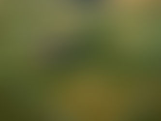 Visão aérea de um imóvel rural georreferenciado, com campos verdes e amarelados, algumas construções no centro (aparentemente um curral ou fazenda), e os limites da propriedade demarcados por uma linha azul brilhante. Vários pontos de controle (em amarelo e vermelho) mostram as coordenadas de latitude e longitude. No canto inferior direito, há o logo '20 ANOS MUZZI ASSOCIADOS'