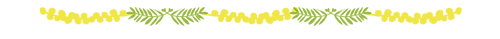 mimosa_sample.png