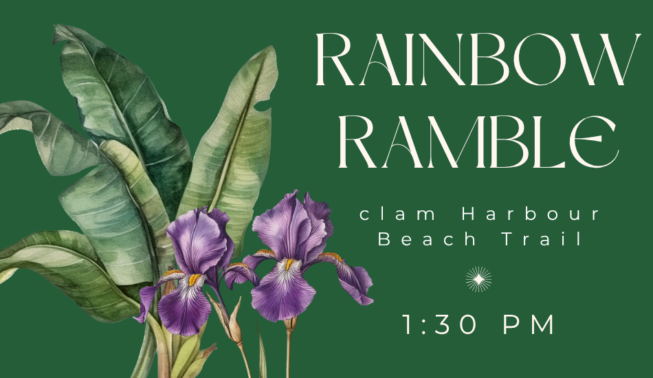 Rainbow Ramble