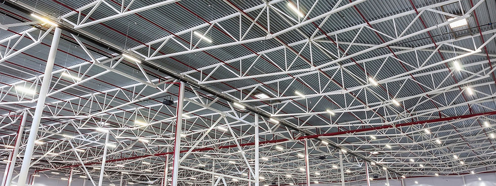 blowfish-feature-image-2-magnitech