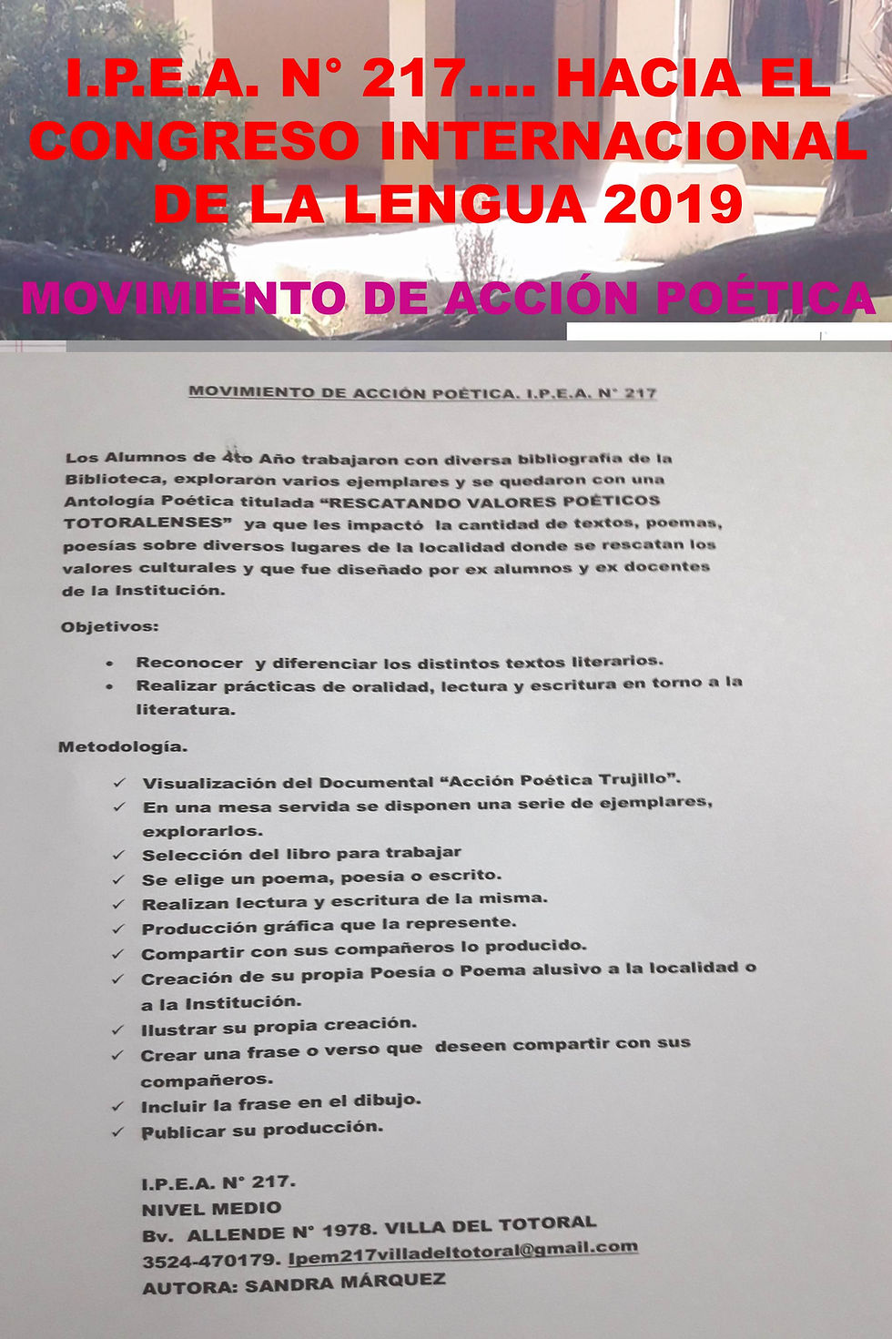 I.P.E.A. N° 217