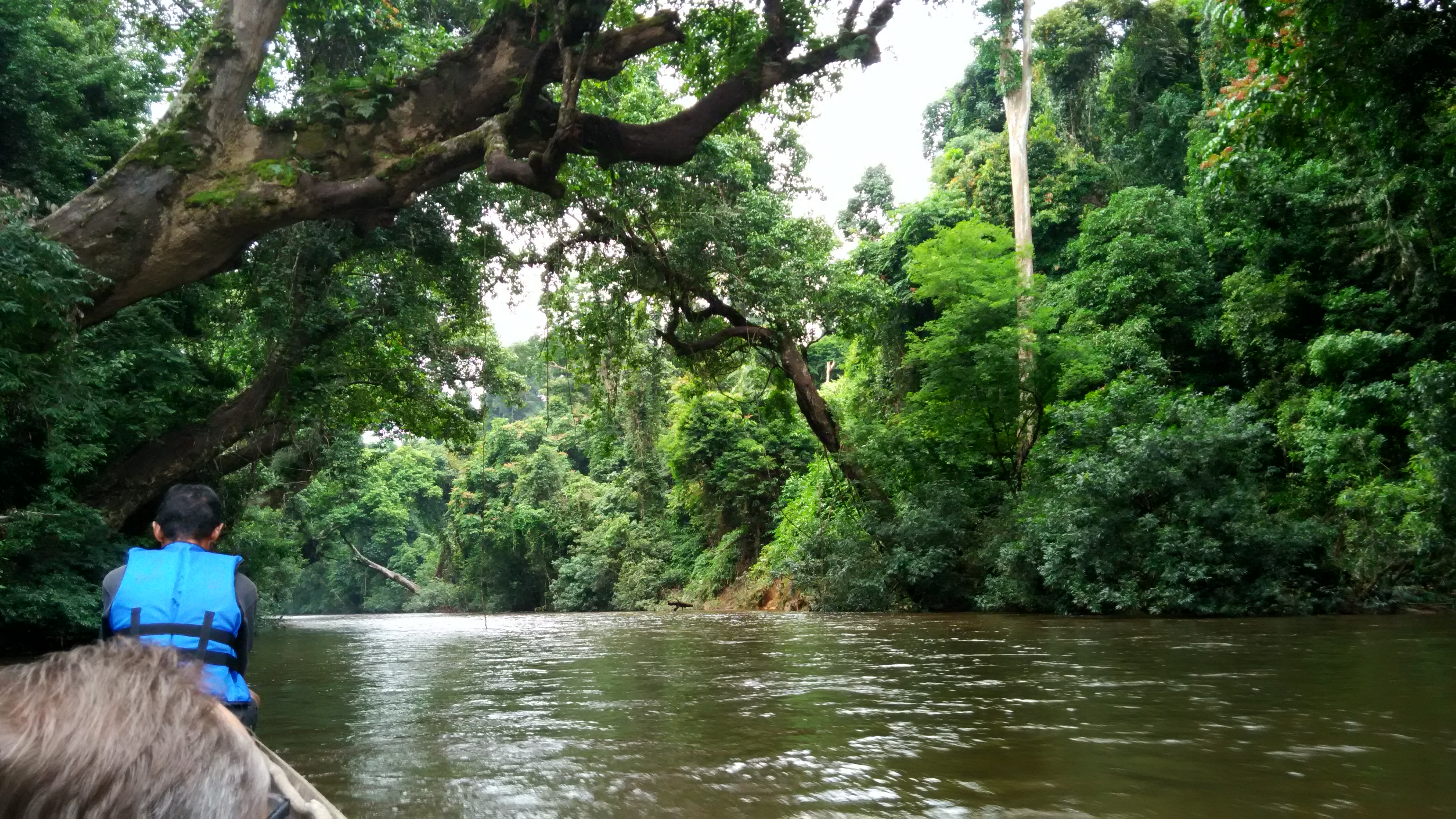 Gunung Tahan Pahang, 8th -12th September 2019 ( GTHN8 ...