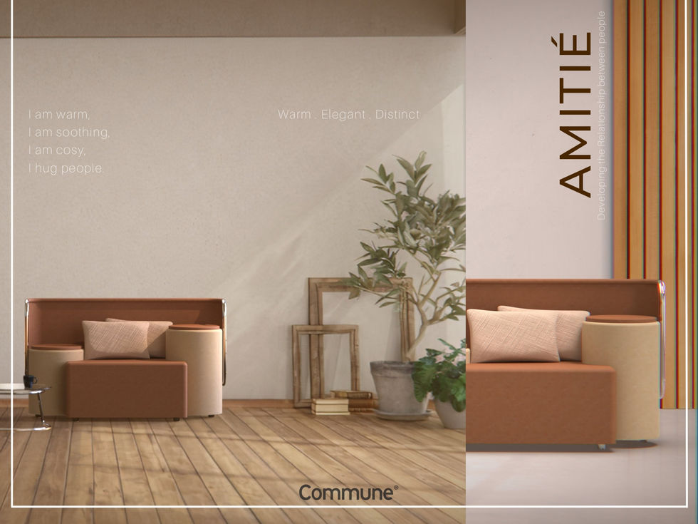 AMITIE BROCHURE_page-0001.jpg