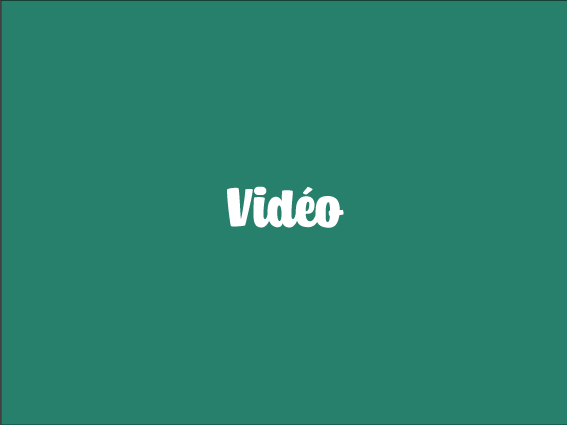 section-vidéo.gif