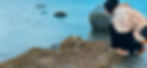 Field of dreams 2.jpeg