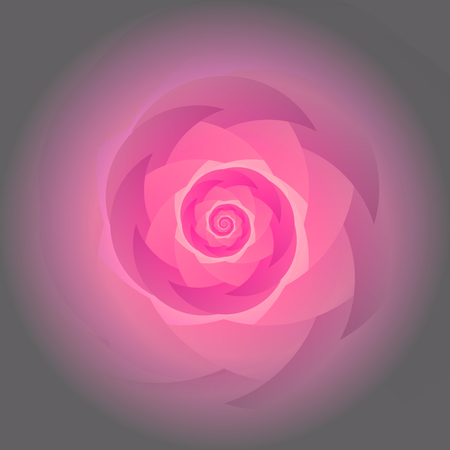 ת×צ×ת ת××× × ×¢××ר ת××× ×ת ×©× ×צ××¢ ××ר××