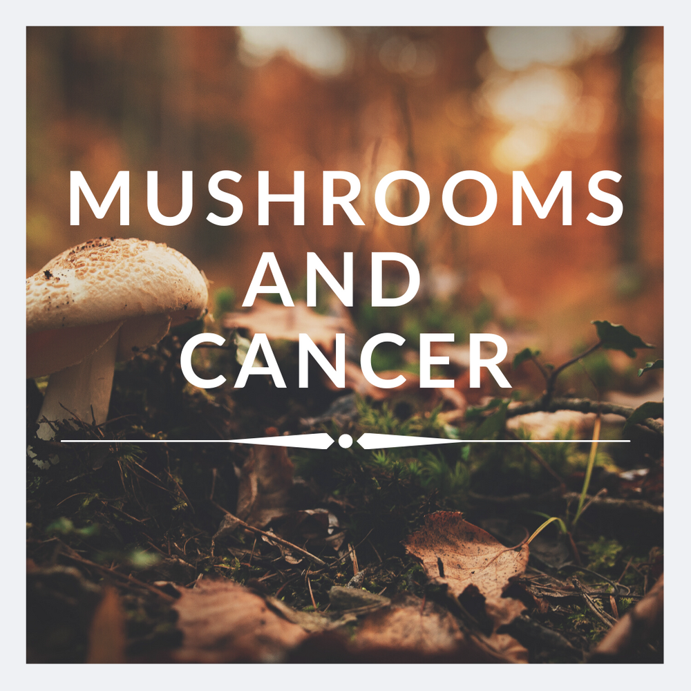 Mushrooms and Cancer
