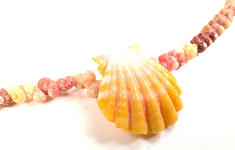 サムネイル： Hawaiian O'ahu Sunrise Shell, Kaua'i Multi Color Kahelelani Bracelet 2