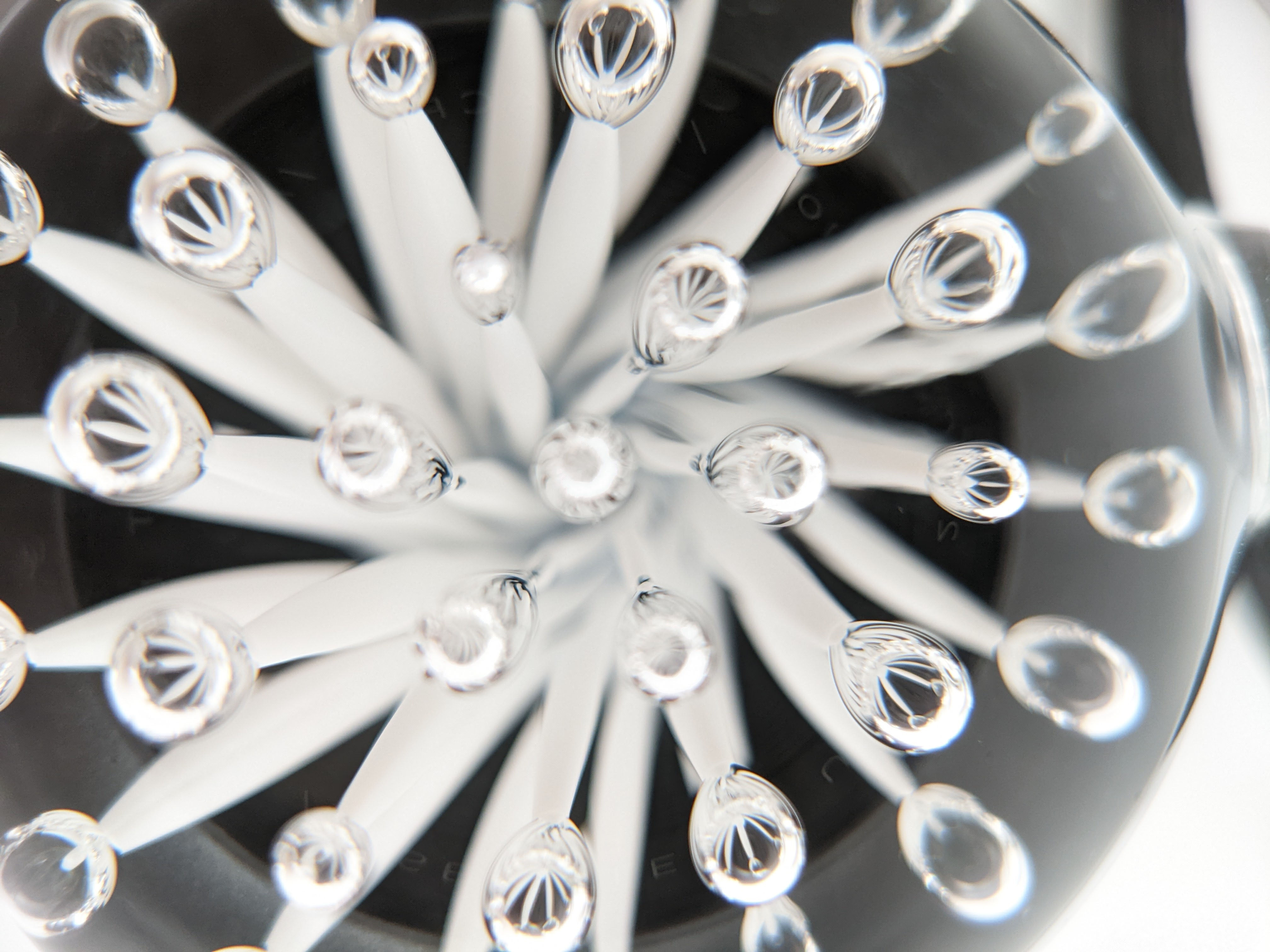 Glass Sea Anemone Pendant (Black)