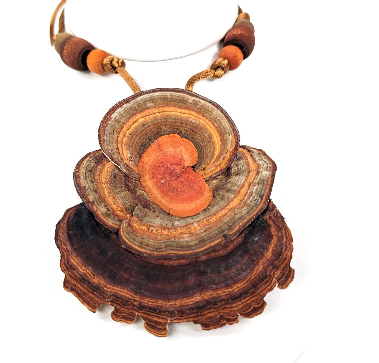 Tree Shells Fungus Necklace (3)
