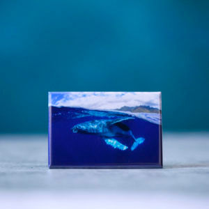 縮圖：Hawai'i Scenic Rectangular Magnets