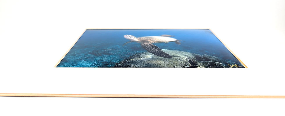 縮圖：HEAVENLY LIGHT 8x10 Matted Print