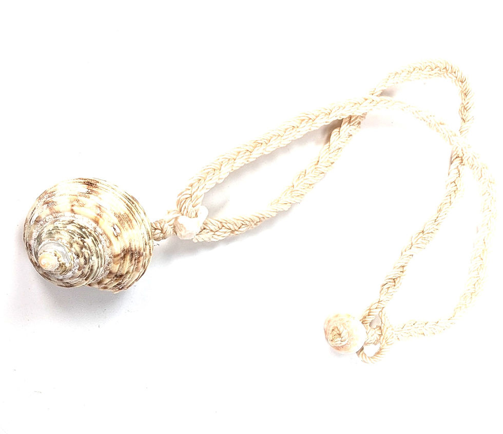 縮圖：Shell (Pupu) Necklace