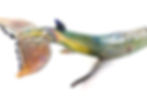 Thumbnail: Glass Lg Humpback Whale (Green)