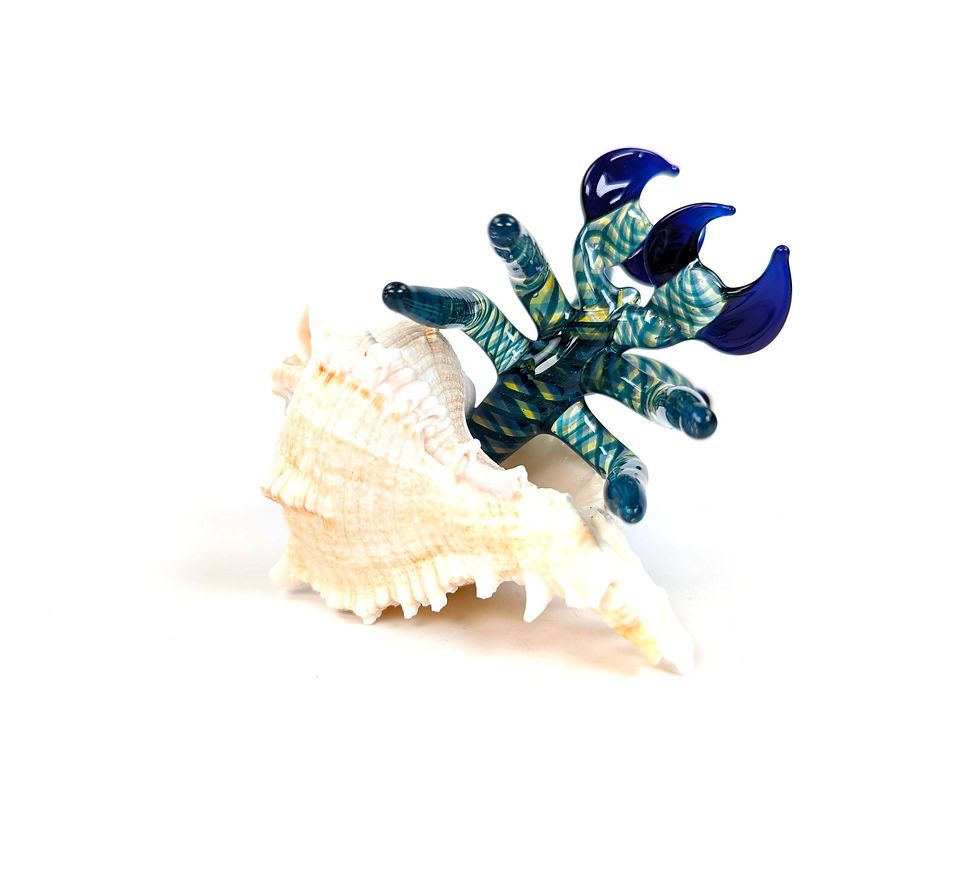 Thumbnail: Glass Hermit Crab (Shades of Royal Blues)