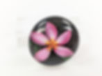 サムネイル： Hawai'i Scenic Round Magnet