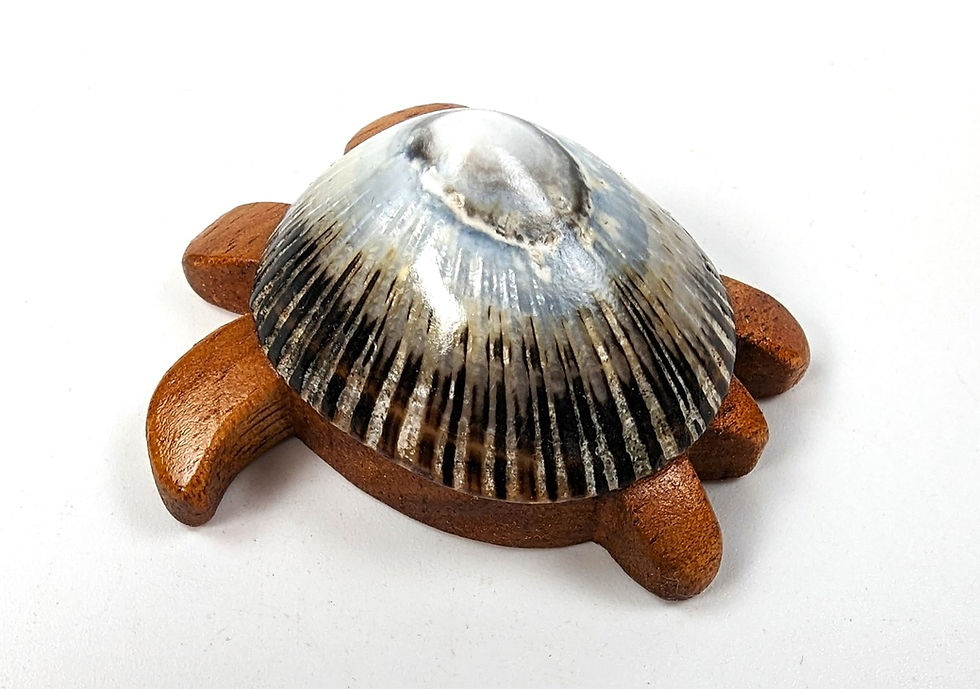 섬네일: Single Honu Magnet Koa and Opihi