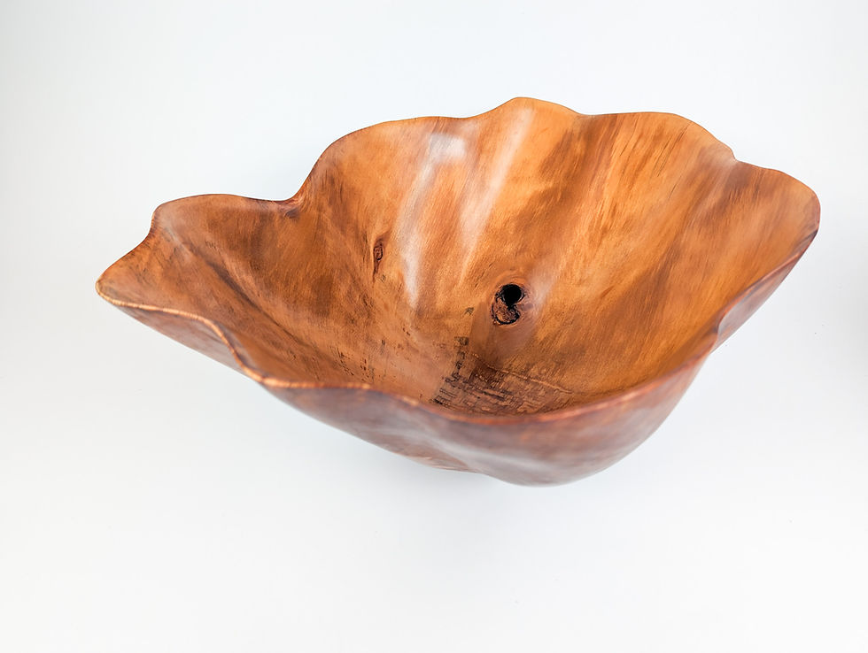 サムネイル： Large Hand Carved Norfolk Pine  Vessel