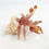 サムネイル： Glass Hermit Crab (orange)