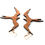 サムネイル： Walnut Wood Iwa Bird Lightweight Earrings
