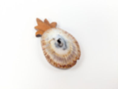 Pineapple Magnet Koa and Opihi Shell