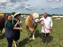 Herts County Show