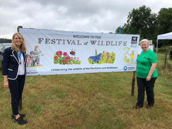 Festival of Wildlife