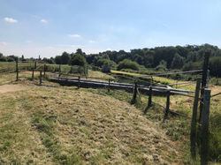 Herts and Middlesex Wildlife Trust