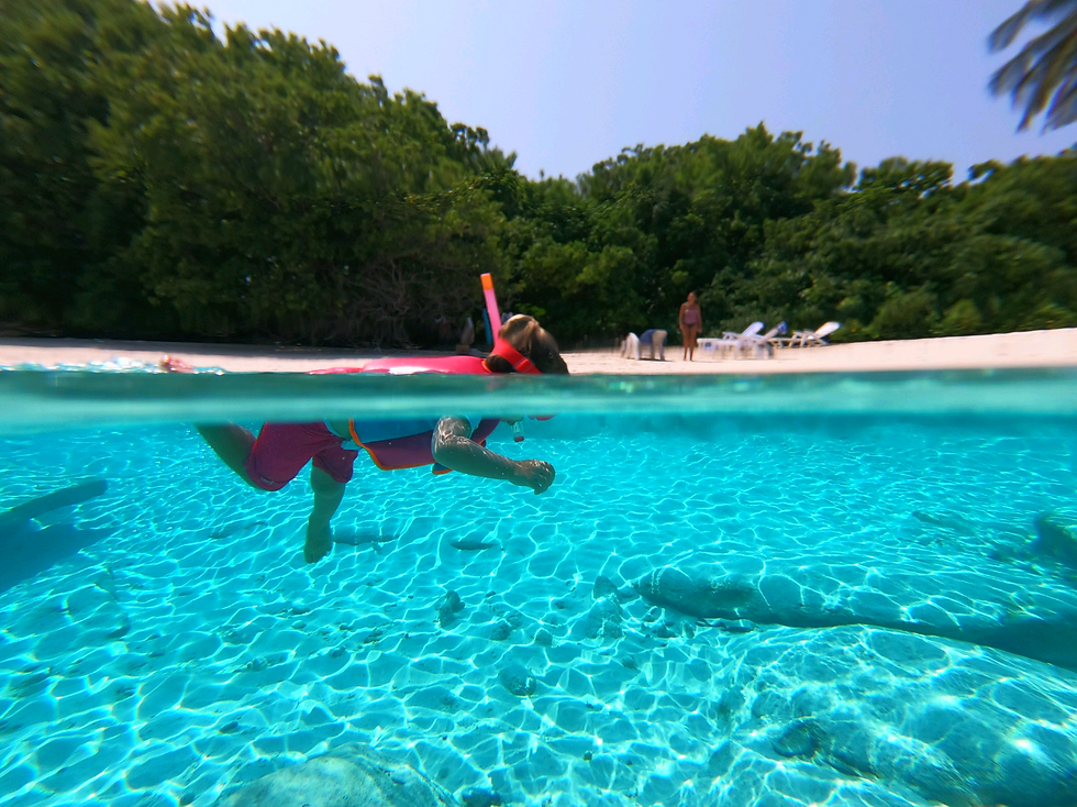 House Reef Snorkeling