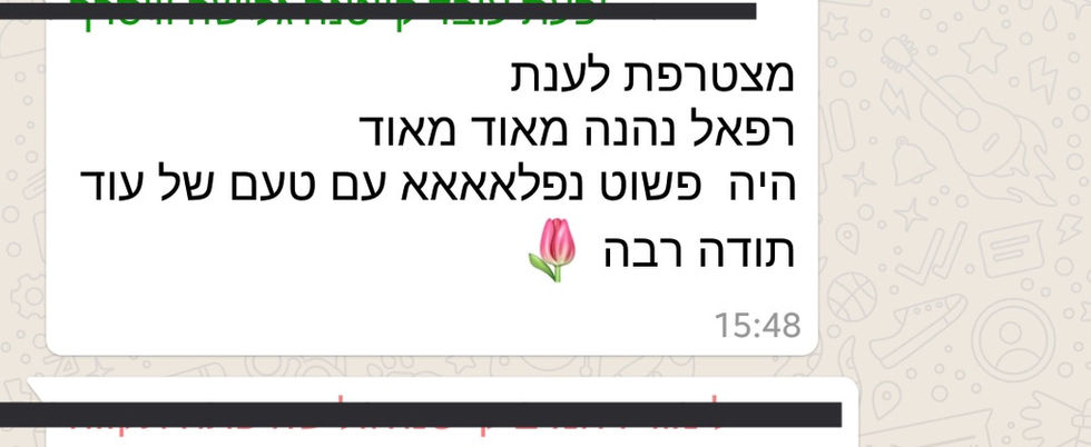 ביקורת ווצאפ