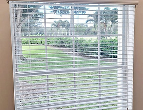 Open horizontal blinds