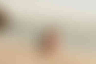 PHOTO-1883