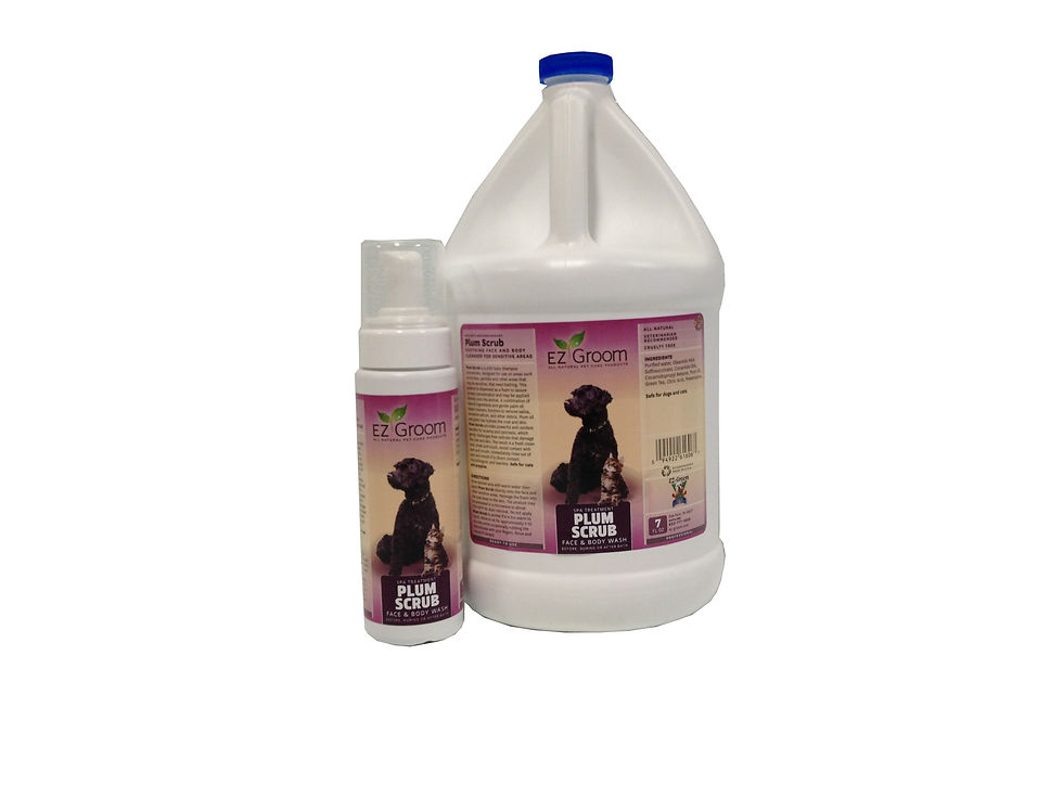 Plum Scrub Facial Foaming Cleanser