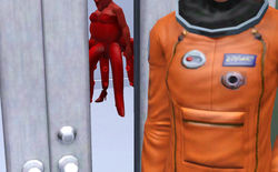 What is that in the background?