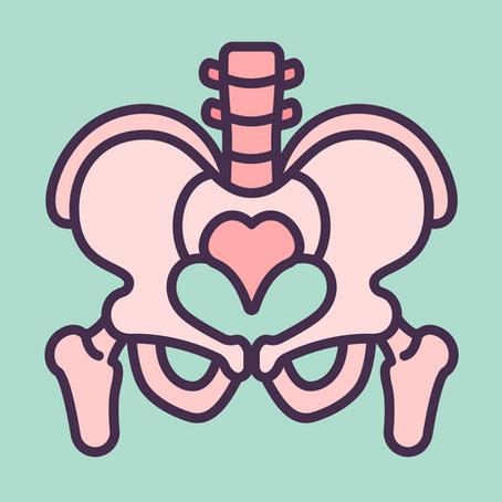 Het bekken; het benige deel en bekkenbodem. Hoe zit het?